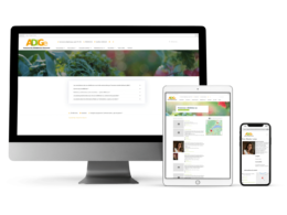 Création du site web Adige