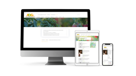 Création du site web Adige